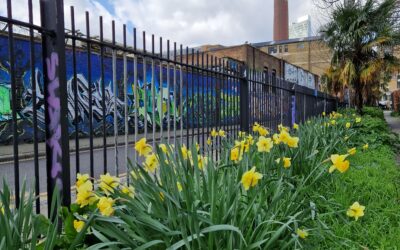 Why are therapy sessions weekly?